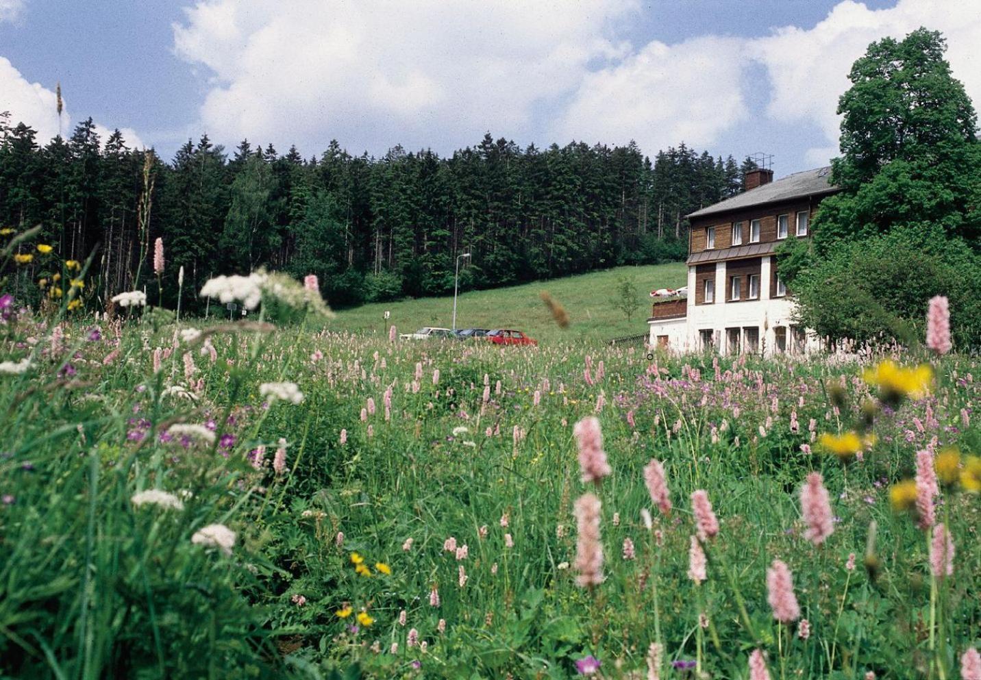 Landhaus Bergidyll Barenstein Exterior photo